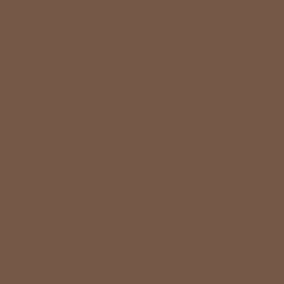 ral 8025 brun pale