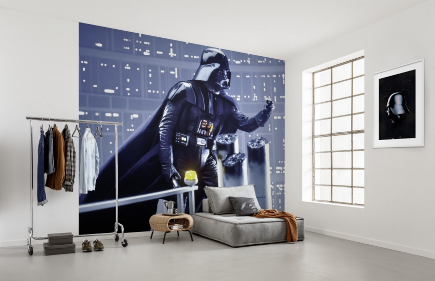 DX6-071 : the dark side : 300 x 250 cm : 130.78€